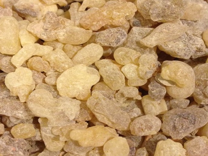 Somali frankincense resin