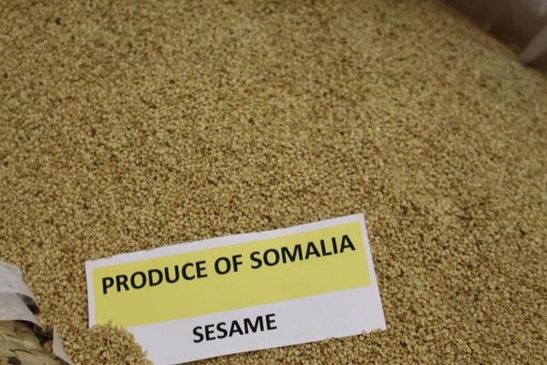 Sack of sesame seed labelled Produce of Somalia